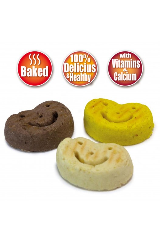 Galletas Smiles 1 Kg Arquivet