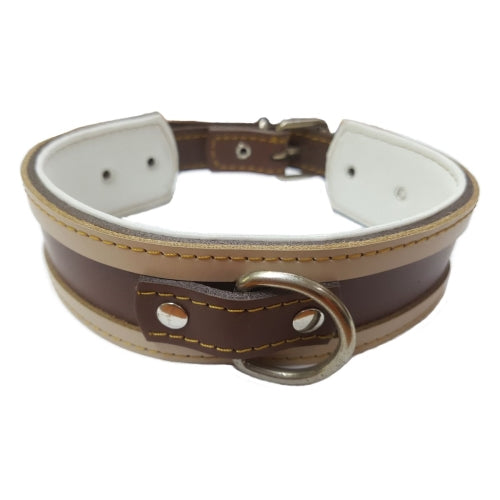 COLLAR CUERO PARA GALGOS