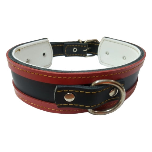 COLLAR CUERO PARA GALGOS