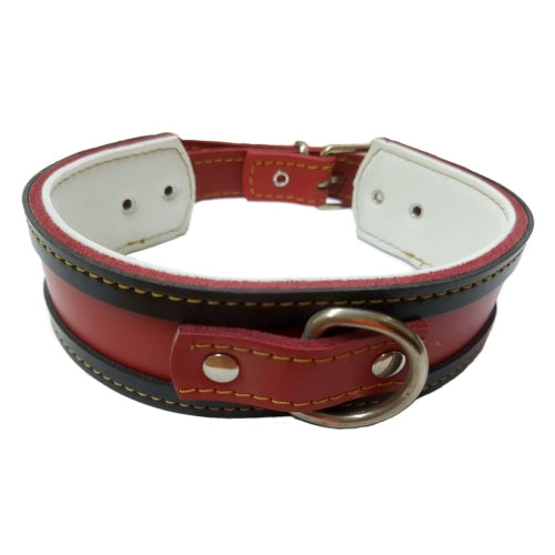 COLLAR CUERO PARA GALGOS