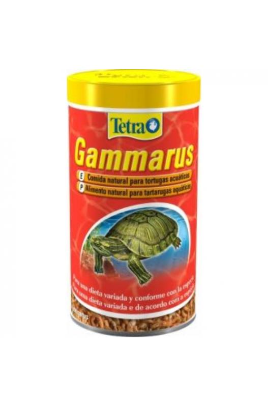 GAMMARUS TORTUGA ACUÁTICA